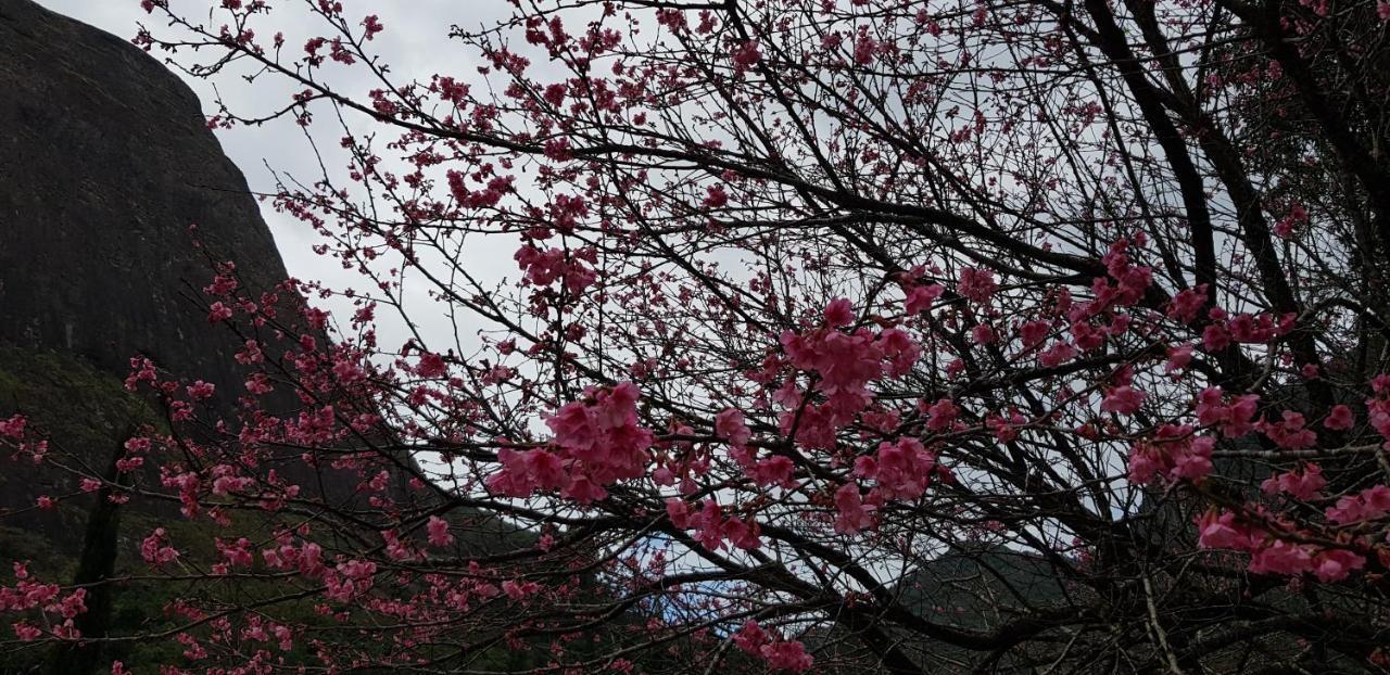 Chale Rosa Do Vale Villa Petrópolis Dış mekan fotoğraf