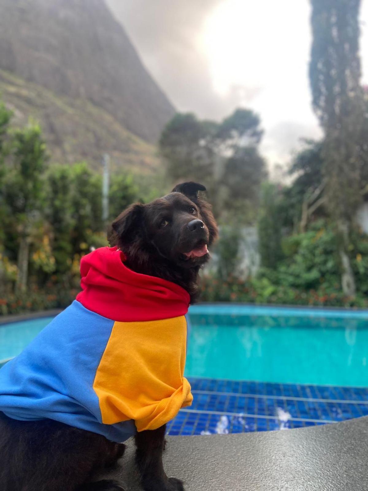 Chale Rosa Do Vale Villa Petrópolis Dış mekan fotoğraf