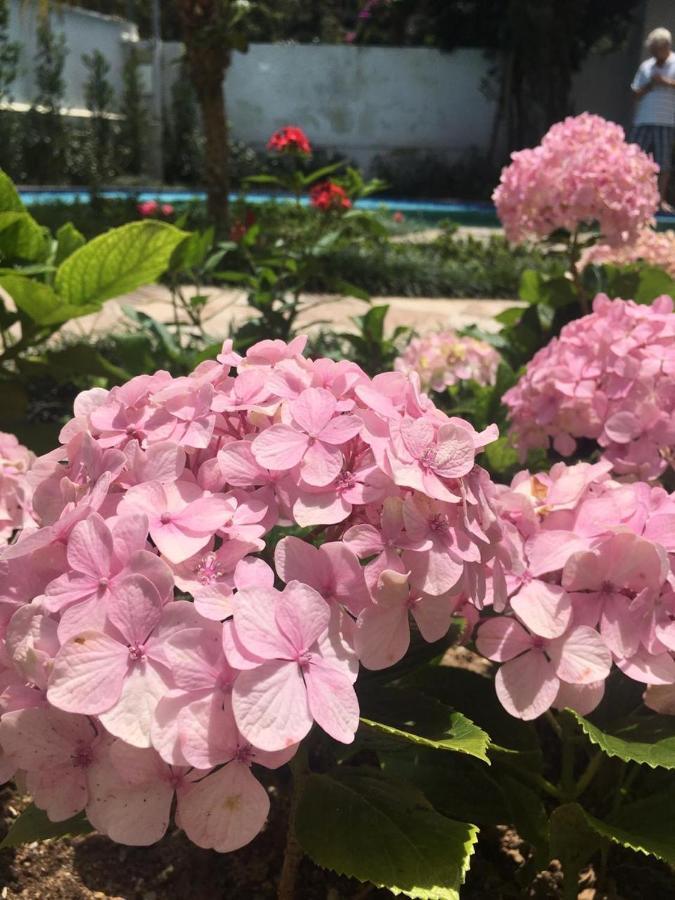 Chale Rosa Do Vale Villa Petrópolis Dış mekan fotoğraf